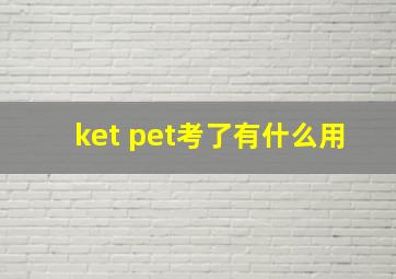 ket pet考了有什么用